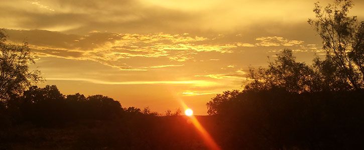 Dental Clinic in the Sonora, TX area